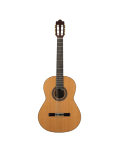 SOLOIST 900 EQ 4/4