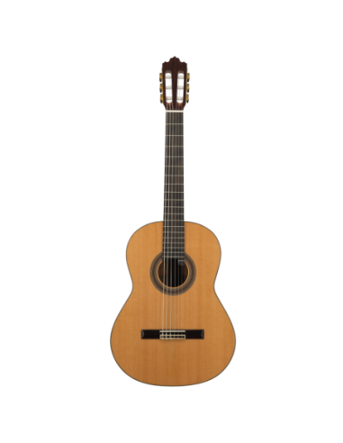 SOLOIST 900 EQ 4/4