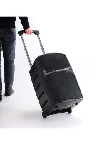 LOCATION SONO PORTABLE Bluetooth avec 2 micros...