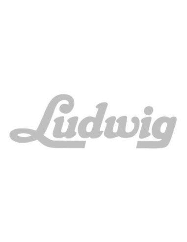 Ludwig