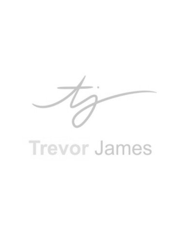 Travor James